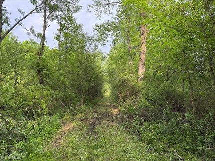 Timberland Property for sale in Lake County, Ohio