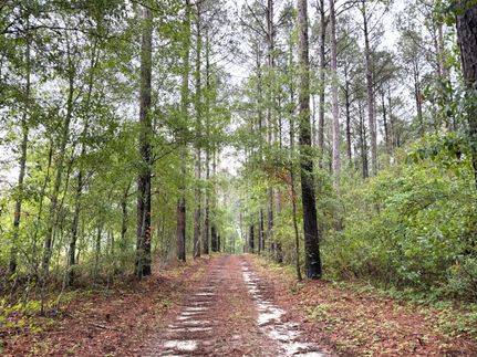 Land for sale in Candler County, Georgia