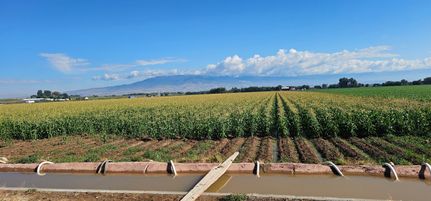 Land for sale in Delta County, Colorado