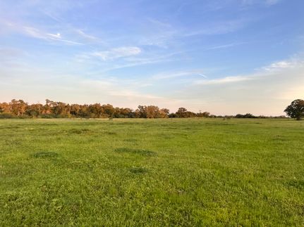 Land for sale in Gonzales County, Texas