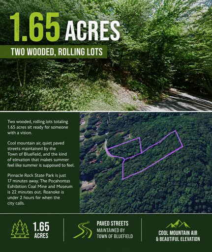 Land for sale in Tazewell County, Virginia