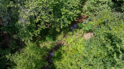 Farm and Ranch for sale in Sabine County, Texas