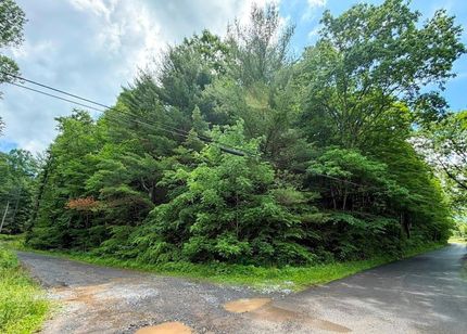 Undeveloped Land for sale in Washington County, Virginia