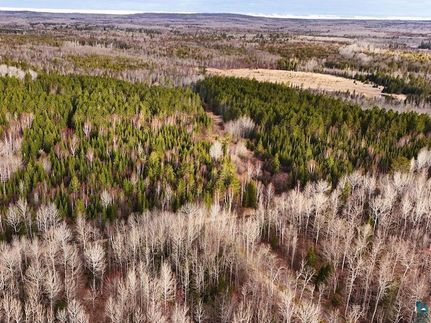 Undeveloped Land for sale in Saint Louis County, Minnesota