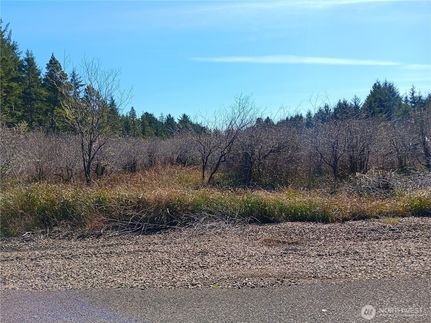 Undeveloped Land for sale in Pacific County, Washington