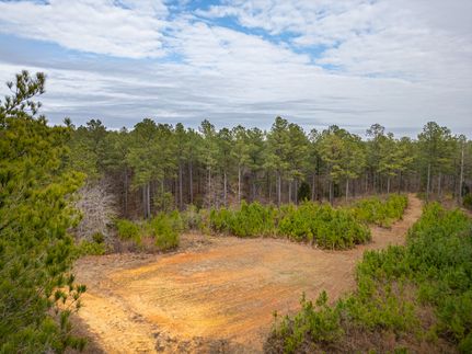 Land for sale in Oglethorpe County, Georgia