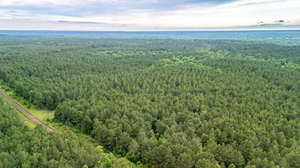 Farm and Ranch for sale in San Augustine County, Texas
