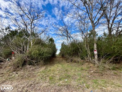 Land for sale in Wilcox County, Alabama