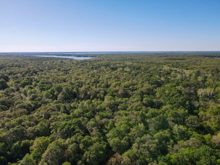 Timberland Property for sale in Fannin County, Texas