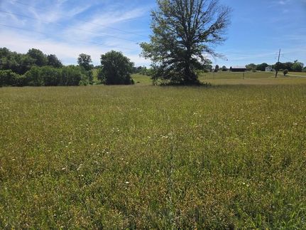 Timberland Property for sale in Fleming County, Kentucky