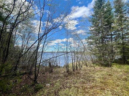 Timberland Property for sale in Price County, Wisconsin