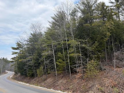 Timberland Property for sale in York County, Maine