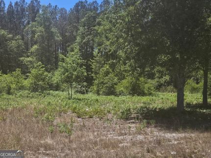 Lakefront Property for sale in Jenkins County, Georgia