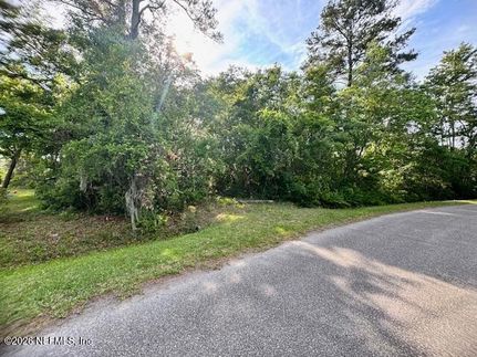 Undeveloped Land for sale in Nassau County, Florida