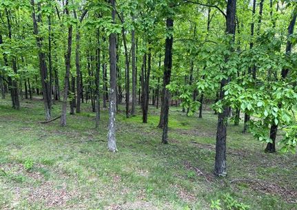 Land for sale in Grant County, West Virginia