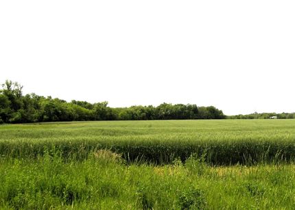 Undeveloped Land for sale in Franklin County, Kansas