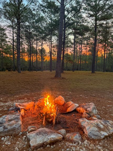 Timberland Property for sale in Tyler County, Texas