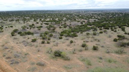 Land for sale in Motley County, Texas