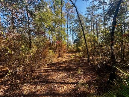 Commercial Property for sale in Madison County, Florida