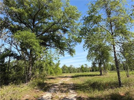 Farm and Ranch for sale in Mobile County, Alabama