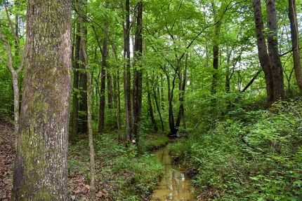 Timberland Property for sale in Gordon County, Georgia