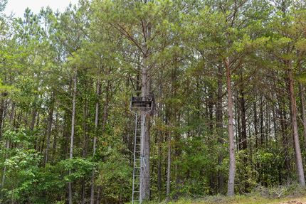 Timberland Property for sale in Gordon County, Georgia