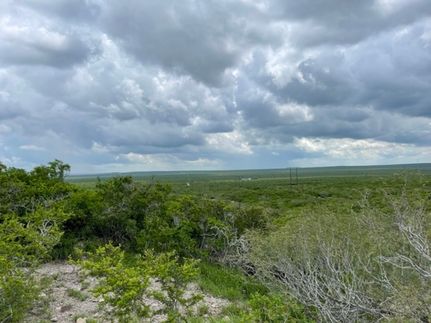 Timberland Property for sale in Duval County, Texas
