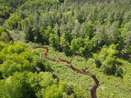 Land for sale in Lewis County, New York