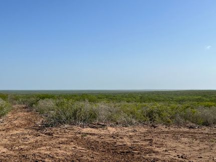 Undeveloped Land for sale in Duval County, Texas