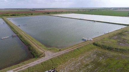 Undeveloped Land for sale in Willacy County, Texas