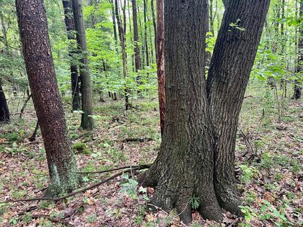 Land for sale in Cambria County, Pennsylvania