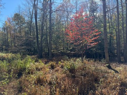 Land for sale in Cambria County, Pennsylvania