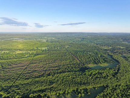 Timberland Property for sale in Sequoyah County, Oklahoma