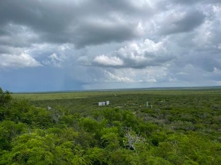 Undeveloped Land for sale in Duval County, Texas