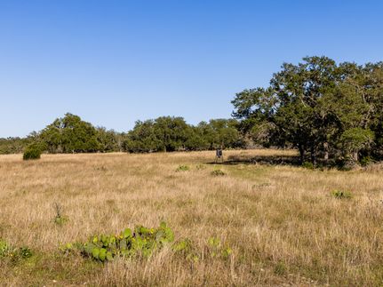 Farm and Ranch for sale in Kerr County, Texas