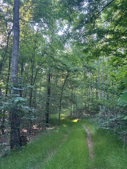 Farm and Ranch for sale in Adair County, Kentucky