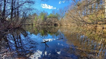 Timberland Property for sale in Fannin County, Georgia
