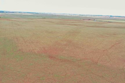 Timberland Property for sale in Kingfisher County, Oklahoma