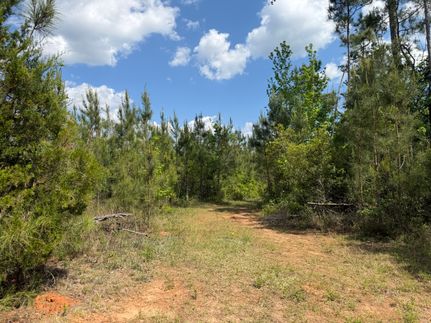 Land for sale in Randolph County, Georgia