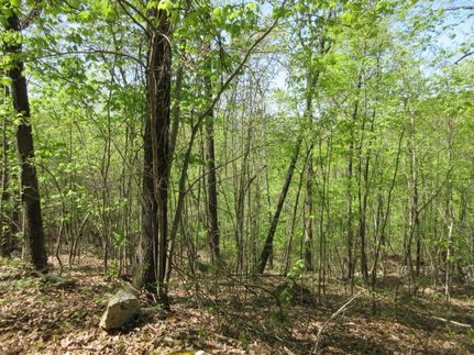 Undeveloped Land for sale in Jackson County, Alabama
