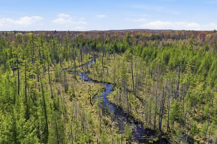 Undeveloped Land for sale in Newaygo County, Michigan
