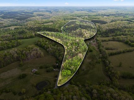 Undeveloped Land for sale in Giles County, Tennessee