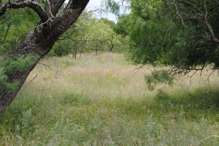 Land for sale in Comanche County, Texas