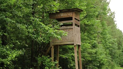 Timberland Property for sale in Copiah County, Mississippi