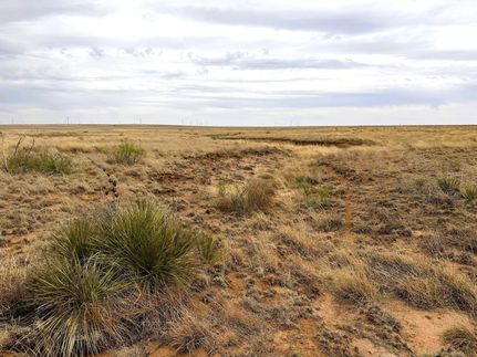 Recreational Property for sale in Cochran County, Texas