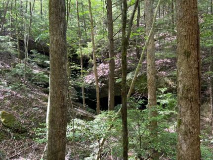 Recreational Property for sale in Winston County, Alabama