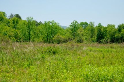 Riverfront Property for sale in Burke County, North Carolina