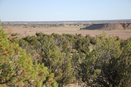 Farm and Ranch for sale in Apache County, Arizona