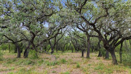 Undeveloped Land for sale in Goliad County, Texas