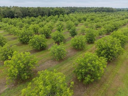 Farm and Ranch for sale in Mitchell County, Georgia